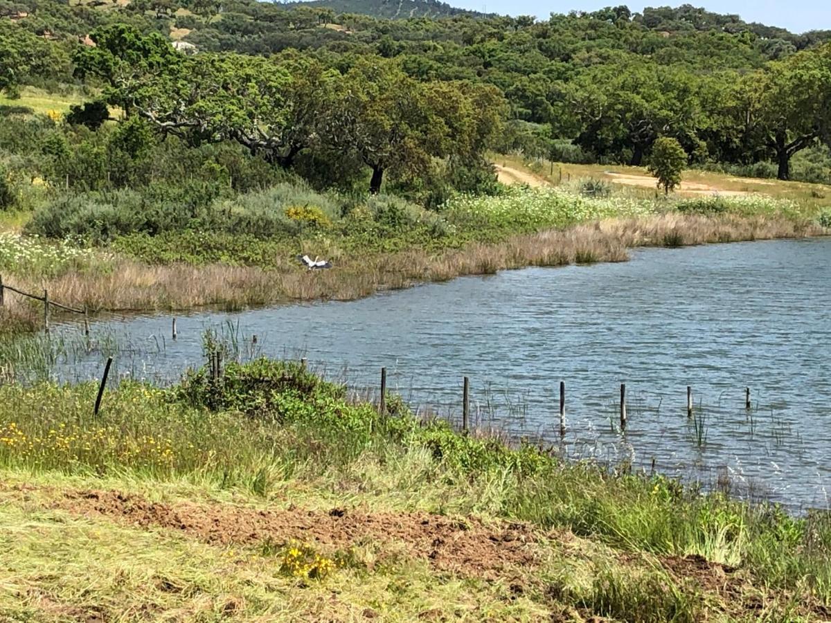 Fontes - A Essencia Do Alentejo Com Lago Privado Redondo Exterior foto