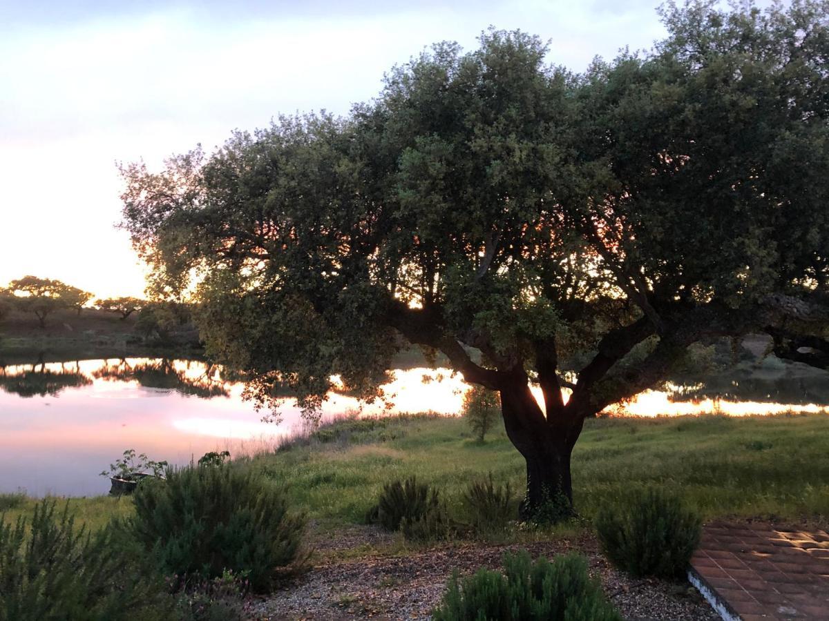 Fontes - A Essencia Do Alentejo Com Lago Privado Redondo Exterior foto