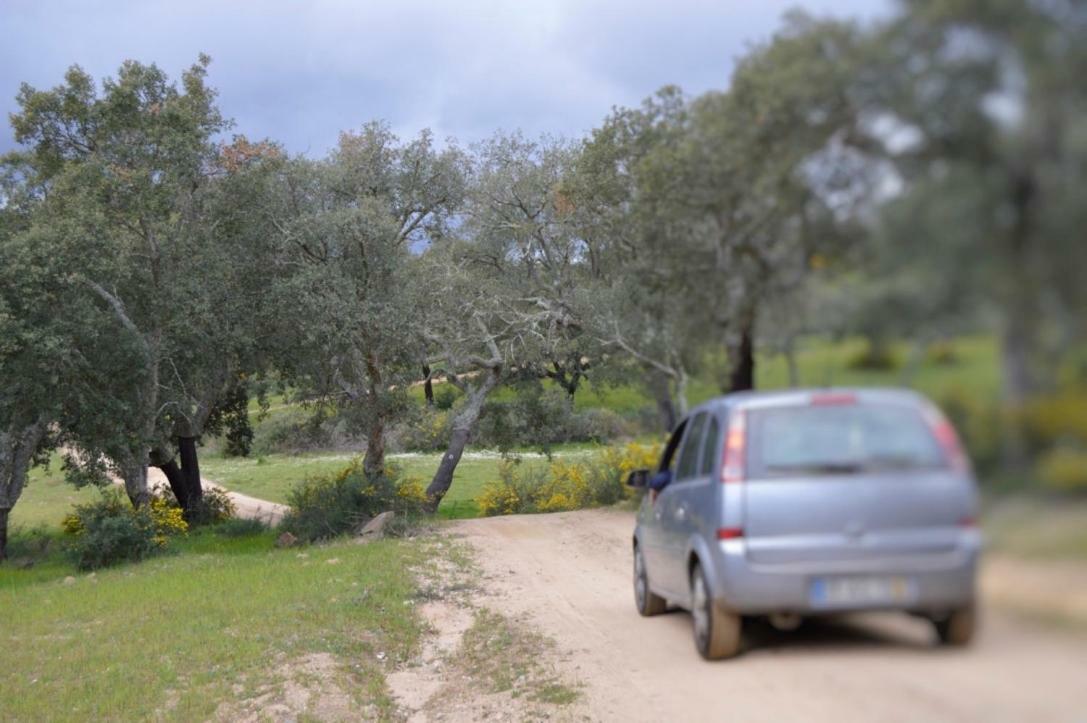 Fontes - A Essencia Do Alentejo Com Lago Privado Redondo Exterior foto